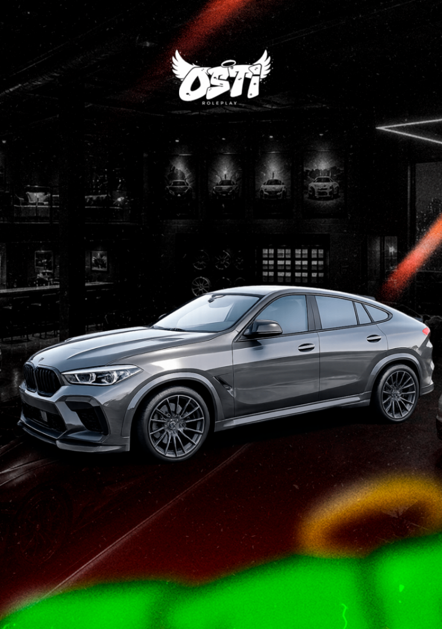 X6 M Comp F96