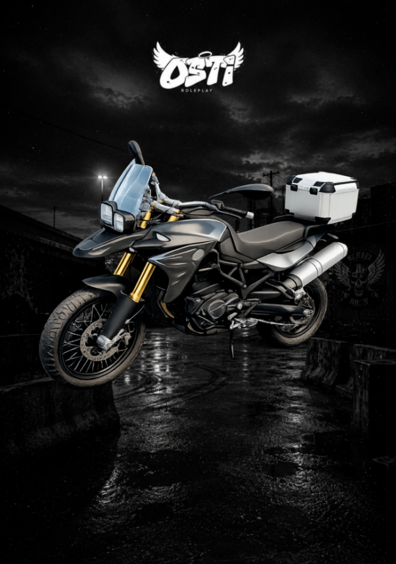Multistrada 1200 Enduro