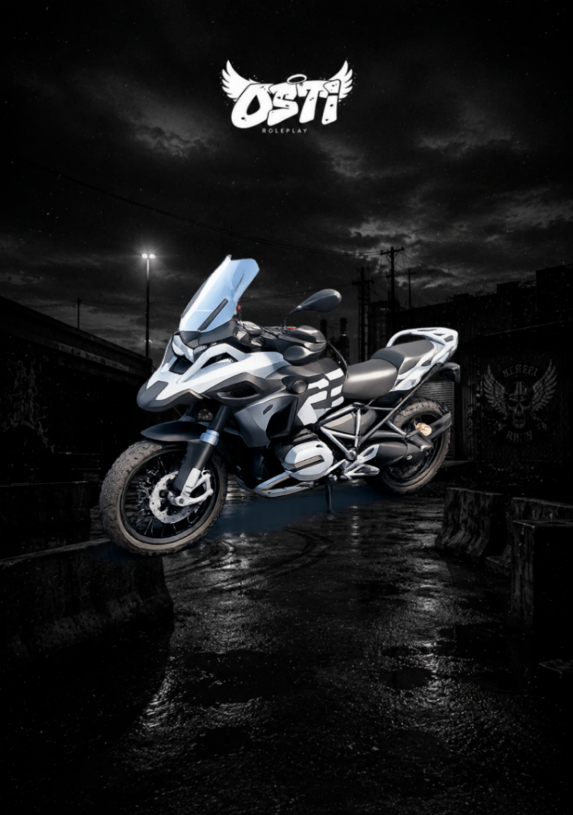 R 1250 GS